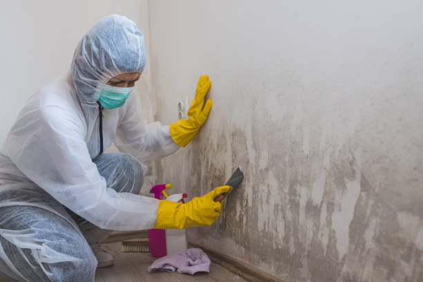 Best Mold Cleaning Services  in Lake Kerr, FL