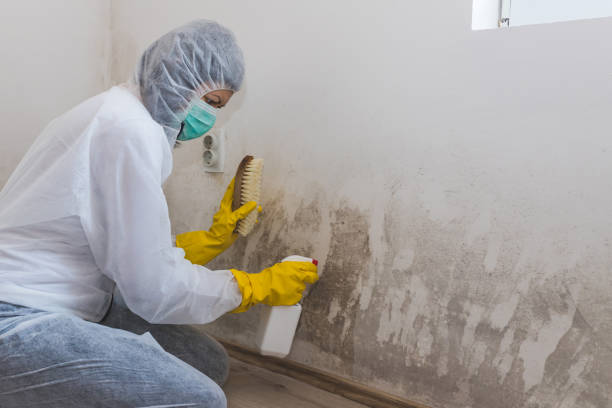 Best Home Mold Removal  in Lake Kerr, FL
