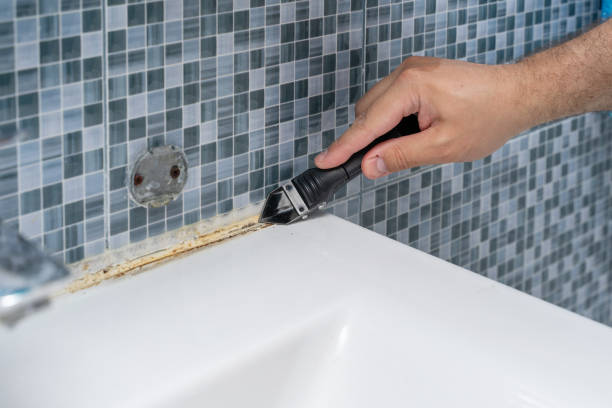 Best Professional Mold Removal  in Lake Kerr, FL