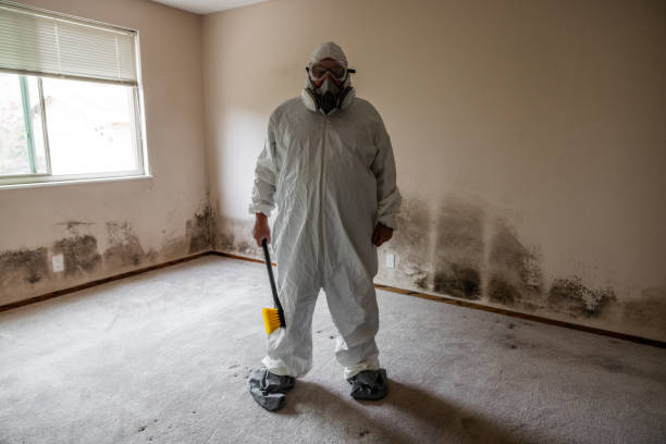 Best Emergency Mold Removal  in Lake Kerr, FL