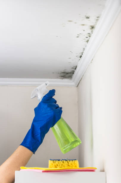 Best Water Damage Restoration  in Lake Kerr, FL